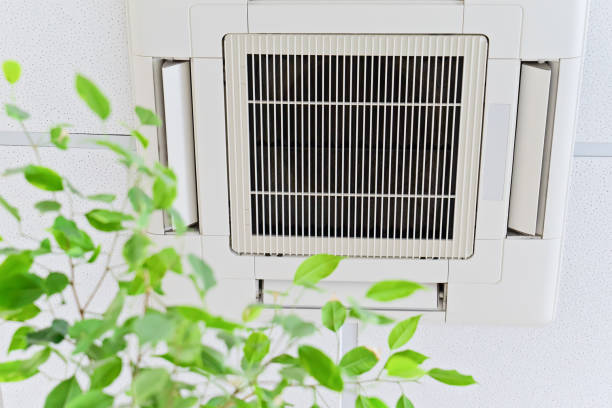 Best Ventilation Cleaning Services  in Winchester, VA